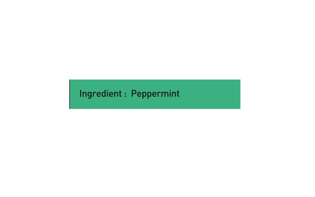 Girnar Cool Peppermint Herbal Infusion Tea   Box  10 pcs